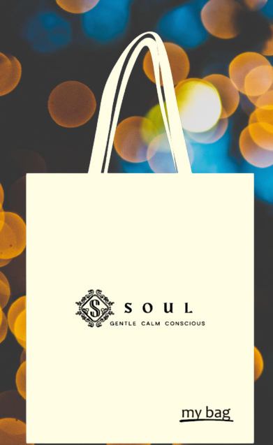 Soul Γυναικεία Τσάντα Elegance Γκρι 235578